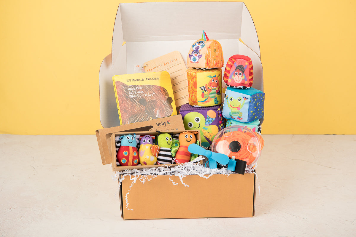 Discover Box- 6 Month Subscription (3 Boxes)